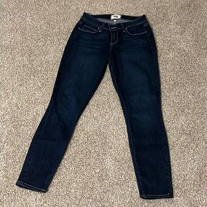 Paige jeans